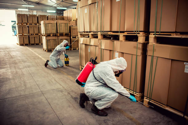 Best Wasp Removal Services  in Pitman, NJ