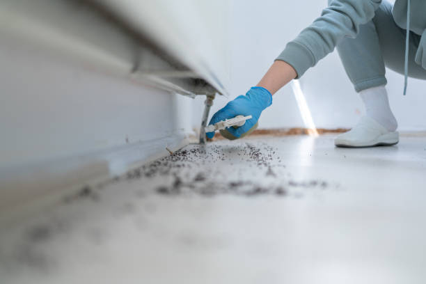 Best Emergency Pest Control  in Pitman, NJ